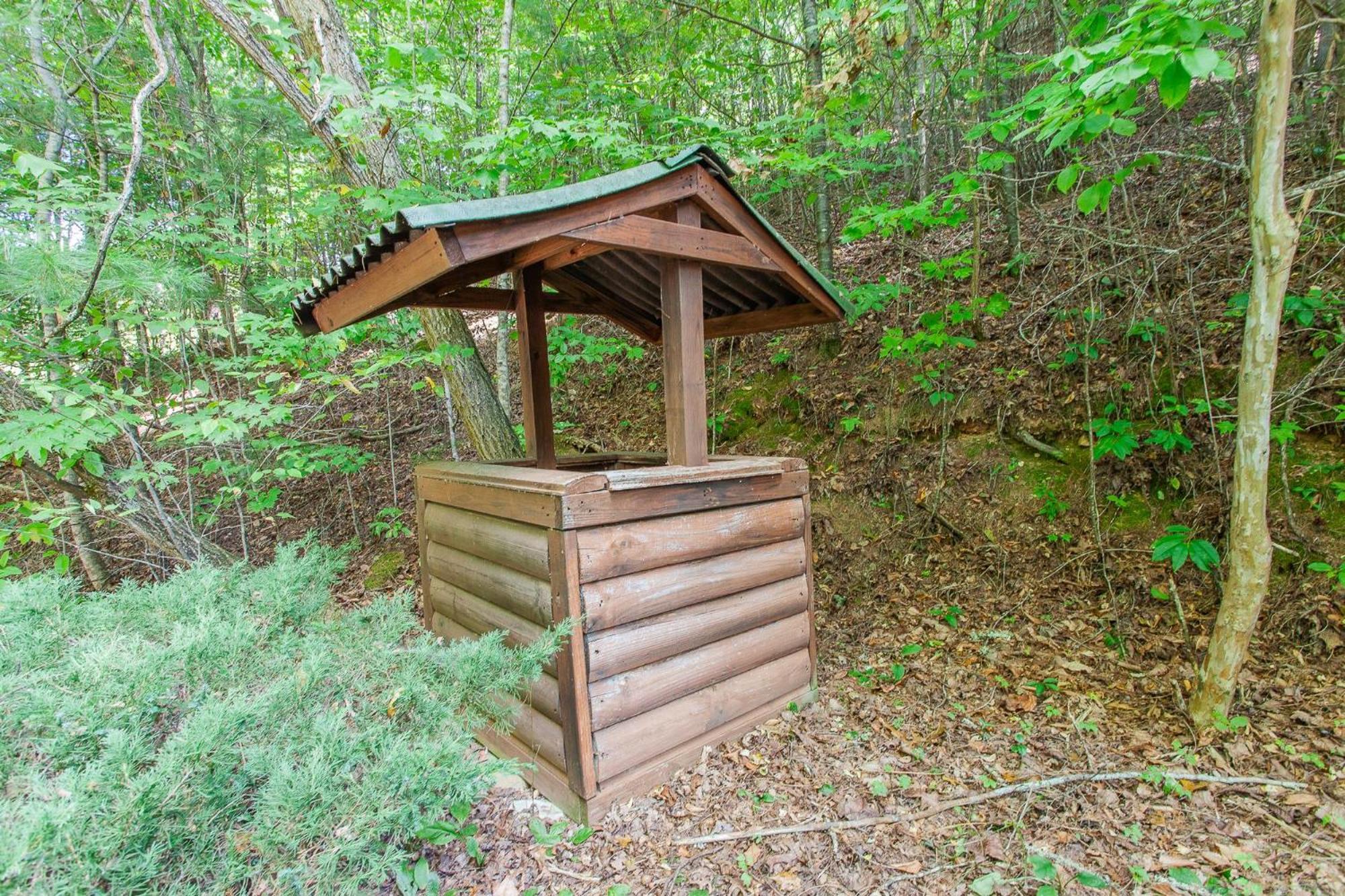 Firefly Way Villa Bryson City Ngoại thất bức ảnh